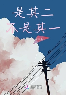是其二不是其一