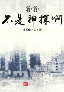 我真不是神探啊