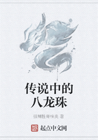 傳說中的八龍珠在線閱讀