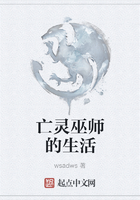亡灵巫师的生活在线阅读