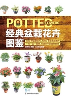 经典盆栽花卉图鉴在线阅读