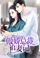 傲娇总裁追妻记