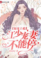 偏宠上瘾:江少宠妻不能停