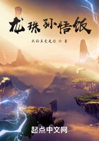 龙珠孙悟饭在线阅读