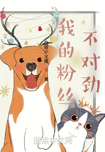 我的粉絲不對勁