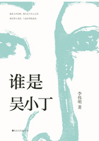 谁是吴小丁在线阅读