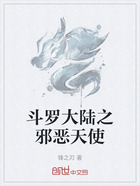 斗罗大陆之邪恶天使在线阅读