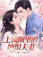 上流圈里的纯恨夫妻在线阅读
