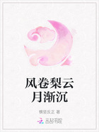 风卷梨云月渐沉在线阅读