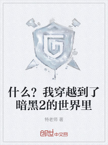 什么？我穿越到了暗黑2的世界里