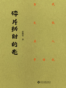 碎片折射的光：当代文化名人寻访记在线阅读