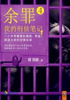 余罪4：我的刑侦笔记