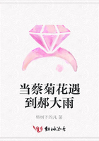 當蔡菊花遇到郝大雨在線閱讀