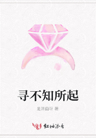 寻不知所起在线阅读