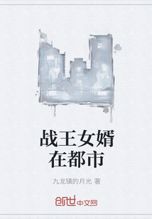 戰王女婿在都市