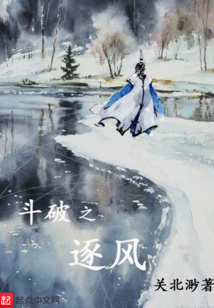 斗破之逐風