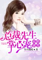 暖婚蜜爱，总裁先生掌心宠在线阅读