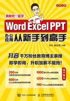 Word Excel PPT办公应用从新手到高手