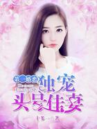 第一婚戀：獨(dú)寵頭號佳妻在線閱讀