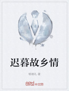 迟暮故乡情在线阅读