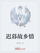 迟暮故乡情在线阅读