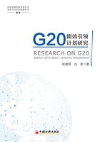 G20能效引领计划研究在线阅读