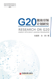 G20能效引领计划研究
