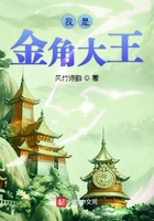 我是金角大王在線閱讀