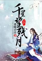 千星望殘月在線閱讀