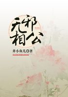 无邪相公在线阅读