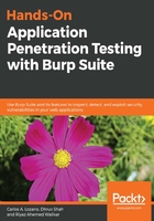 Hands-On Application Penetration Testing with Burp Suite