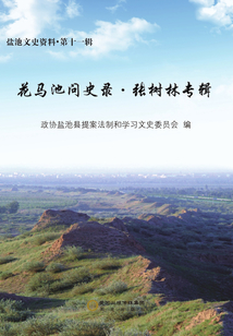 花馬池問(wèn)史錄·張樹(shù)林專輯