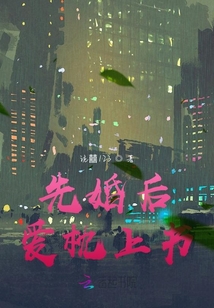 先婚后愛枕上書