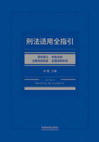 刑法适用全指引：罪名要义、关联法规、立案追诉标准、定罪量刑标准