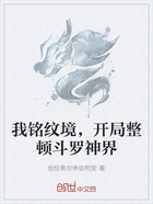 我铭纹境，开局整顿斗罗神界