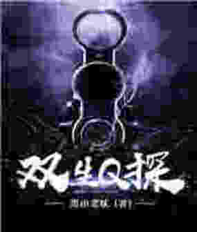 双生Q探在线阅读