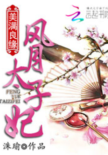 美满良缘:风月太子妃