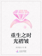 重生之时光褶皱在线阅读