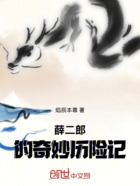 薛二郎的奇妙历险记在线阅读