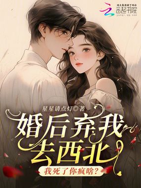 婚后弃我去西北，我死了你疯啥？在线阅读