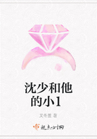 沈少和他的小1在線閱讀
