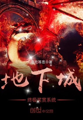 地下城终极奖赏系统在线阅读