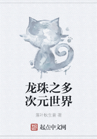 龍珠之多次元世界在線閱讀