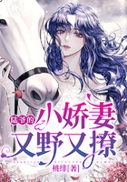 陸爺?shù)男善抻忠坝至迷诰€閱讀