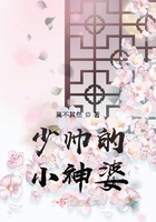 少帅的小神婆在线阅读