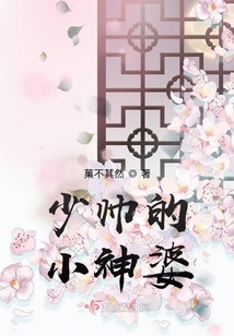 少帥的小神婆