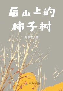 后山上的柿子樹