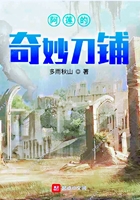 阿莲的奇妙刀铺在线阅读