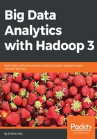 Big Data Analytics with Hadoop 3在线阅读