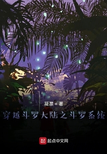 穿越斗羅大陸之斗羅系統